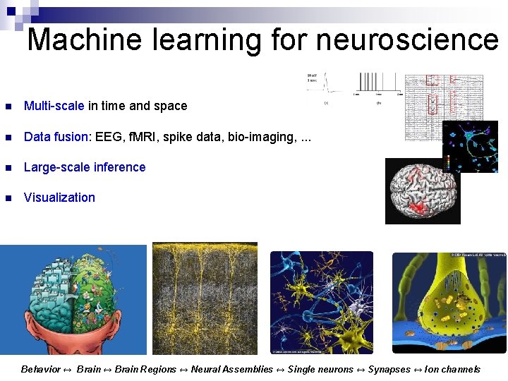 Machine learning for neuroscience n Multi-scale in time and space n Data fusion: EEG,