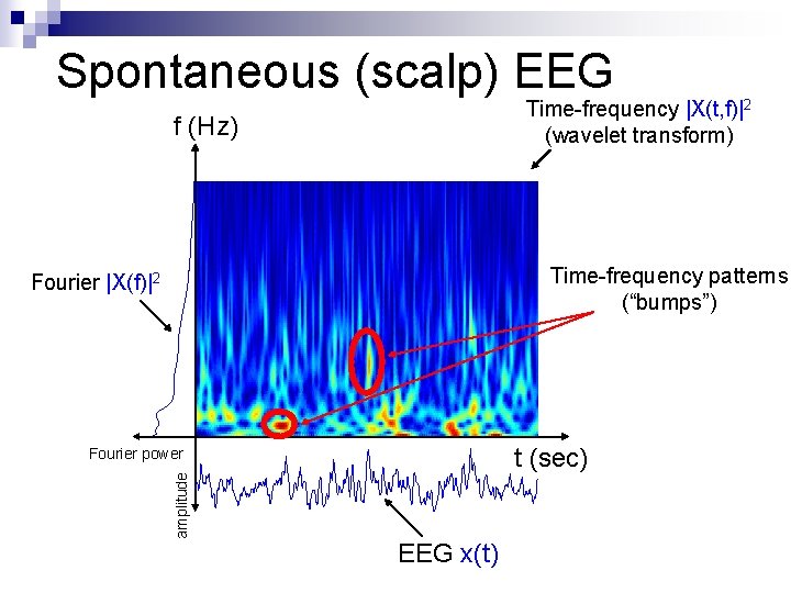 Spontaneous (scalp) EEG Time-frequency |X(t, f)|2 (wavelet transform) f (Hz) Time-frequency patterns (“bumps”) Fourier