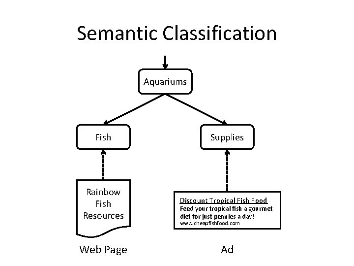 Semantic Classification Aquariums Fish Rainbow Fish Resources Web Page Supplies Discount Tropical Fish Food