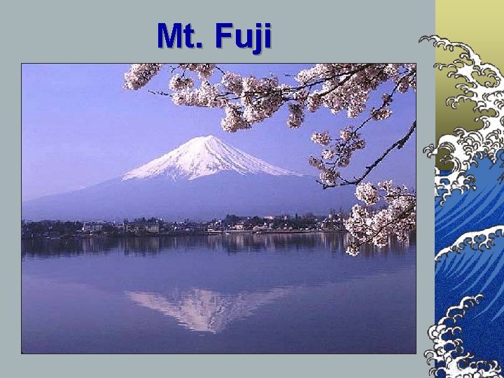 Mt. Fuji 