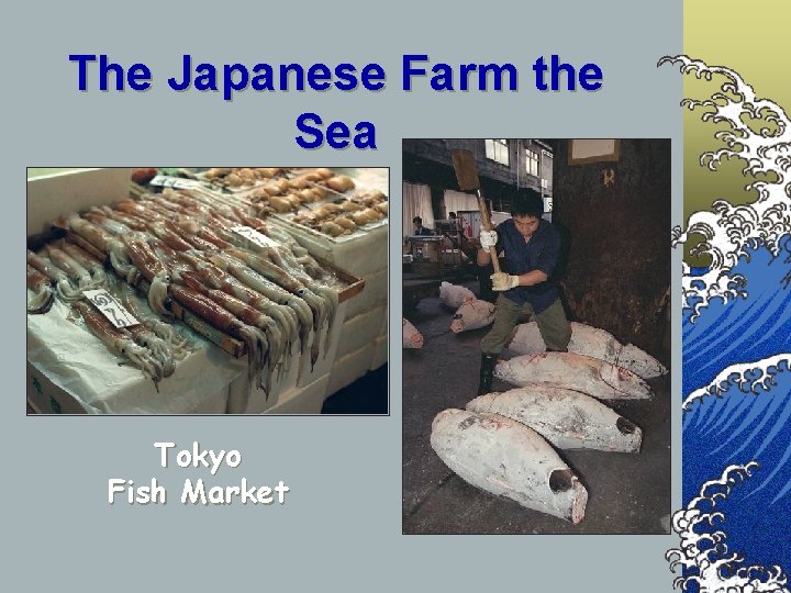 The Japanese Farm the Sea Tokyo Fish Market 