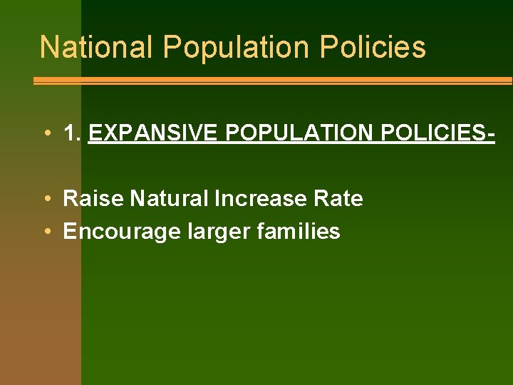 National Population Policies • 1. EXPANSIVE POPULATION POLICIES • Raise Natural Increase Rate •