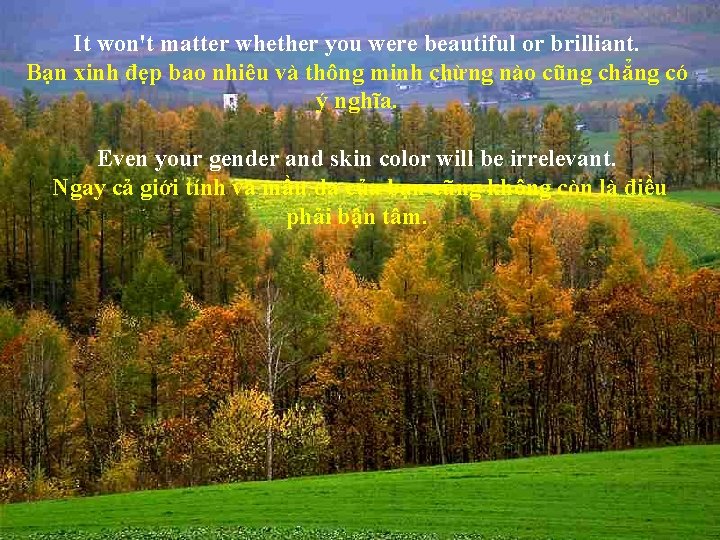 It won't matter whether you were beautiful or brilliant. Bạn xinh đẹp bao nhiêu