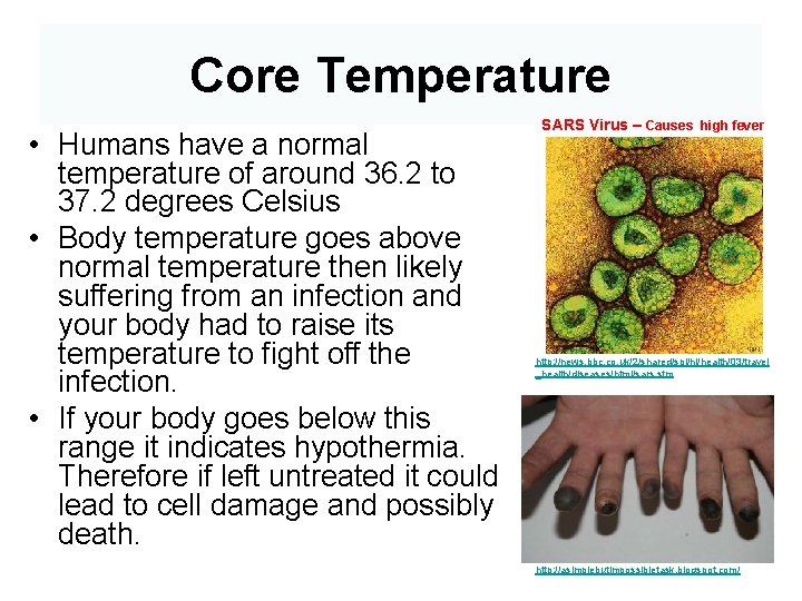 Core Temperature • Humans have a normal temperature of around 36. 2 to 37.