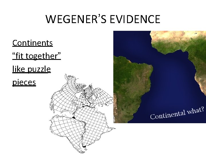 WEGENER’S EVIDENCE Continents “fit together” like puzzle pieces WEGENER’S EVIDENCE Continents “fit together” like puzzle pieces