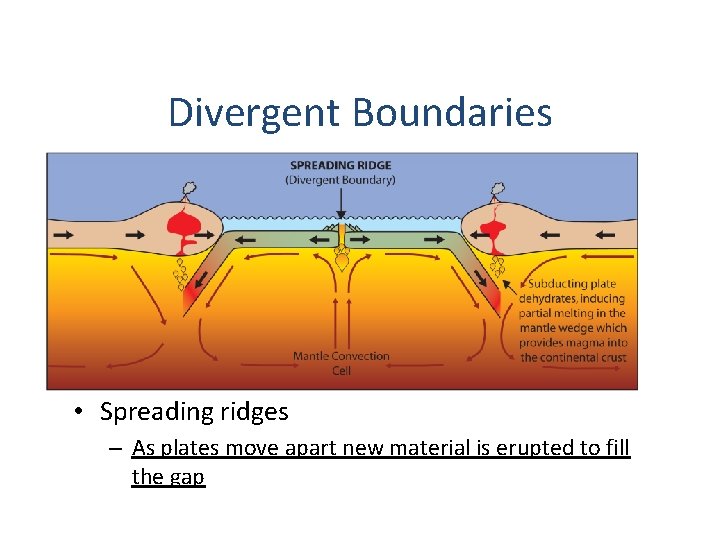 Divergent Boundaries • Spreading ridges – As plates move apart new material is erupted Divergent Boundaries • Spreading ridges – As plates move apart new material is erupted