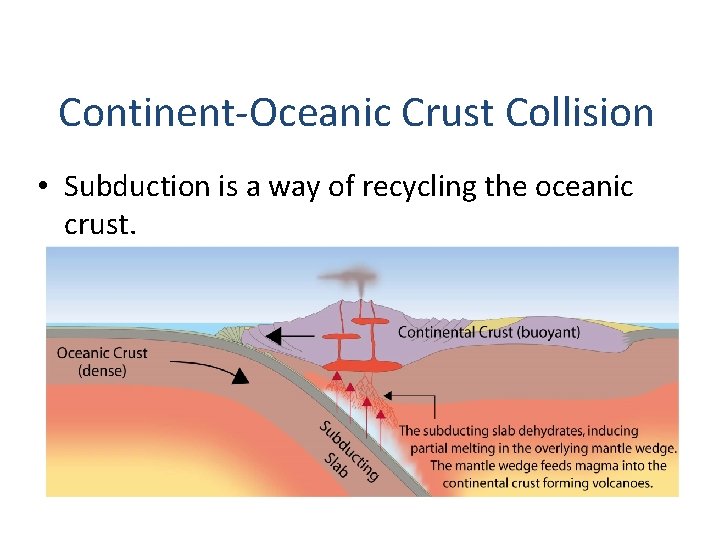 Continent-Oceanic Crust Collision • Subduction is a way of recycling the oceanic crust. Continent-Oceanic Crust Collision • Subduction is a way of recycling the oceanic crust.