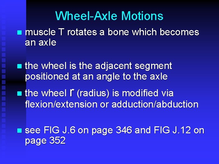 Wheel-Axle Motions n muscle T rotates a bone which becomes an axle n the