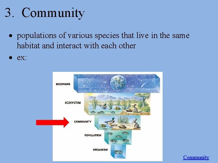 3. Community populations of various species that live in the same habitat and interact