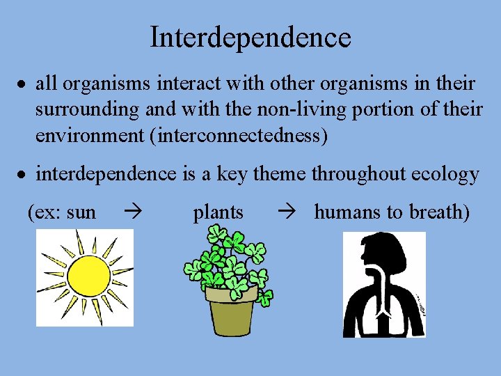 Interdependence all organisms interact with other organisms in their surrounding and with the non-living
