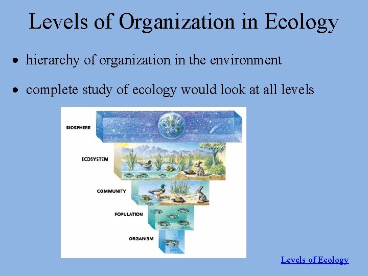 Levels of Organization in Ecology hierarchy of organization in the environment complete study of