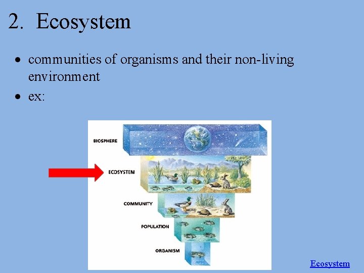 2. Ecosystem communities of organisms and their non-living environment ex: Ecosystem 