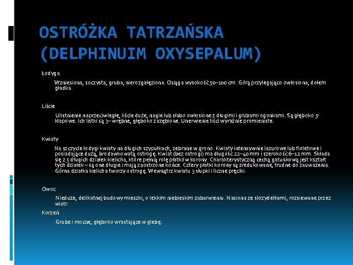 OSTRÓŻKA TATRZAŃSKA (DELPHINUIM OXYSEPALUM) Łodyga Wzniesiona, soczysta, gruba, nierozgałęziona. Osiąga wysokość 50– 100 cm.
