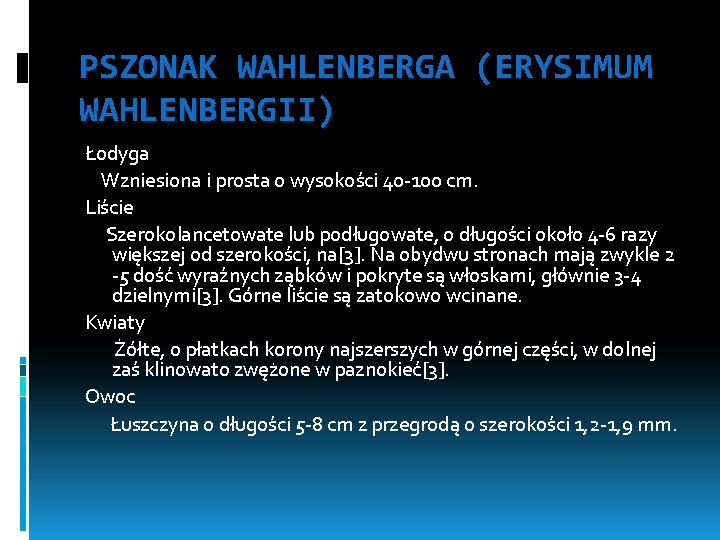 PSZONAK WAHLENBERGA (ERYSIMUM WAHLENBERGII) Łodyga Wzniesiona i prosta o wysokości 40 -100 cm. Liście
