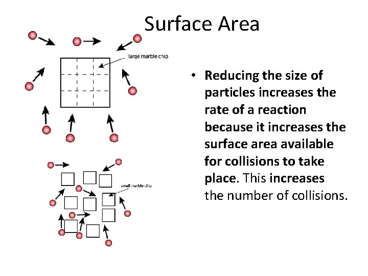 Surface Area • Reducing the size of particles increases the rate of a reaction