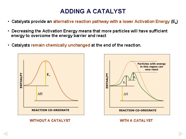 ADDING A CATALYST • Catalysts provide an alternative reaction pathway with a lower Activation