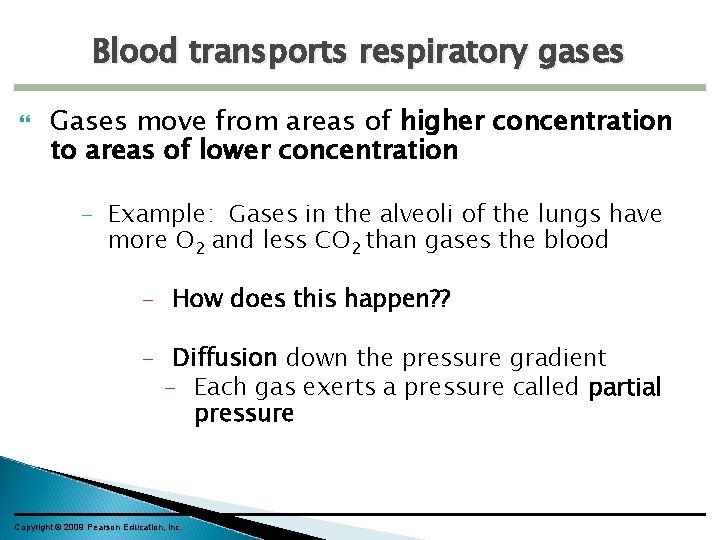 Blood transports respiratory gases Gases move from areas of higher concentration to areas of