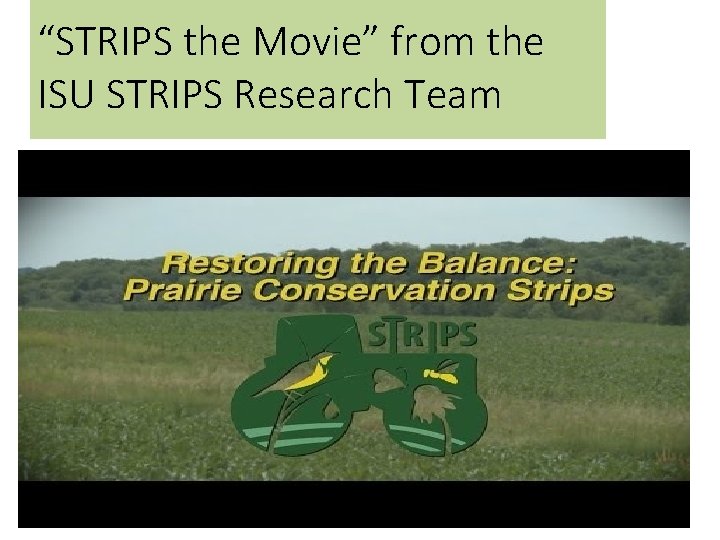 “STRIPS the Movie” from the ISU STRIPS Research Team 