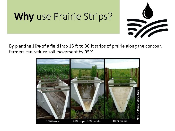 Why use Prairie Strips? Photo credit: Jose Guttierez Lopes By planting 10% of a