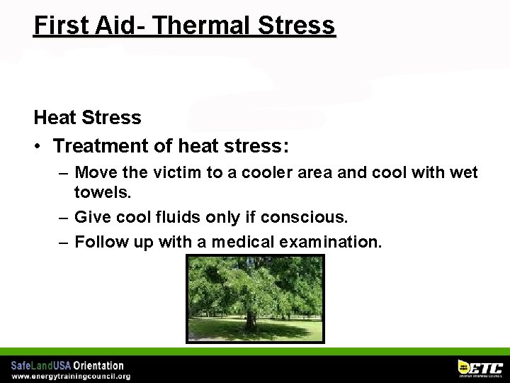 First Aid- Thermal Stress Heat Stress • Treatment of heat stress: – Move the