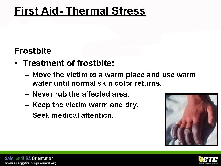 First Aid- Thermal Stress Frostbite • Treatment of frostbite: – Move the victim to