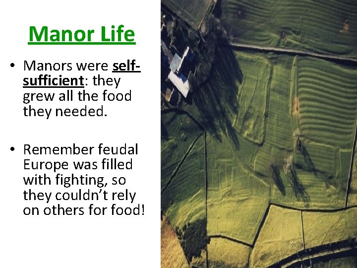 Manor Life • Manors were selfsufficient: they grew all the food they needed. •