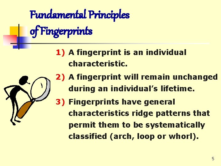 Fundamental Principles of Fingerprints 1) A fingerprint is an individual characteristic. 2) A fingerprint