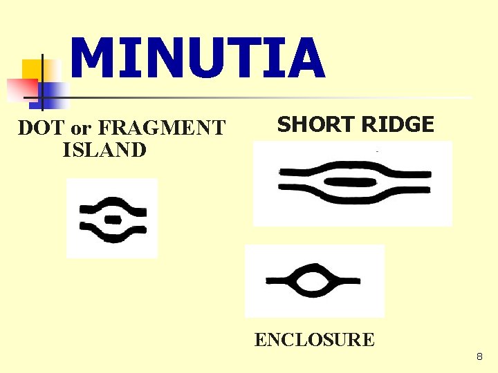 MINUTIA DOT or FRAGMENT ISLAND SHORT RIDGE ENCLOSURE 8 