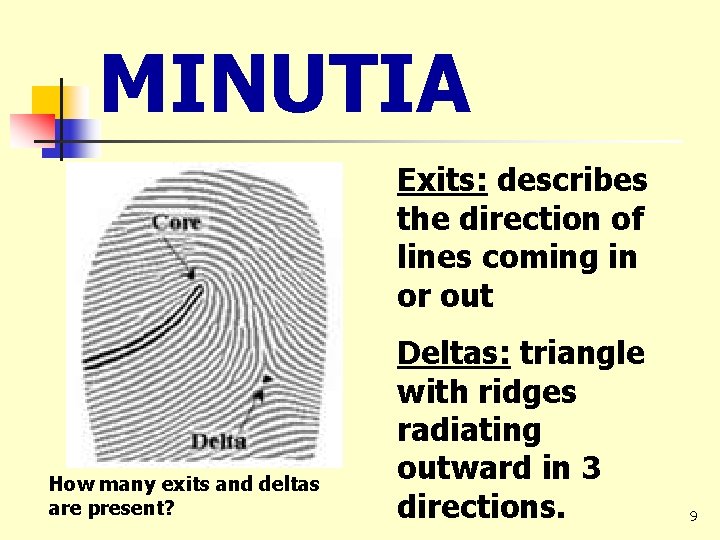 MINUTIA Exits: describes the direction of lines coming in or out How many exits