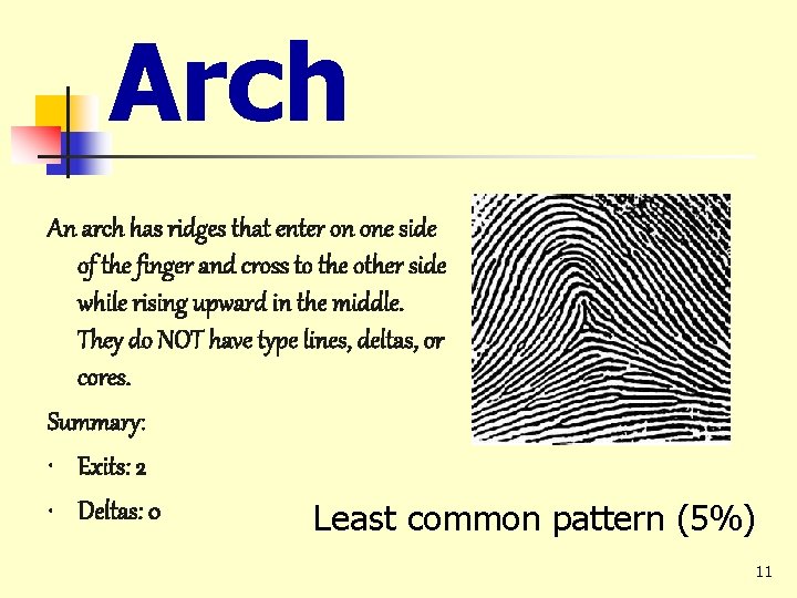 Arch An arch has ridges that enter on one side of the finger and