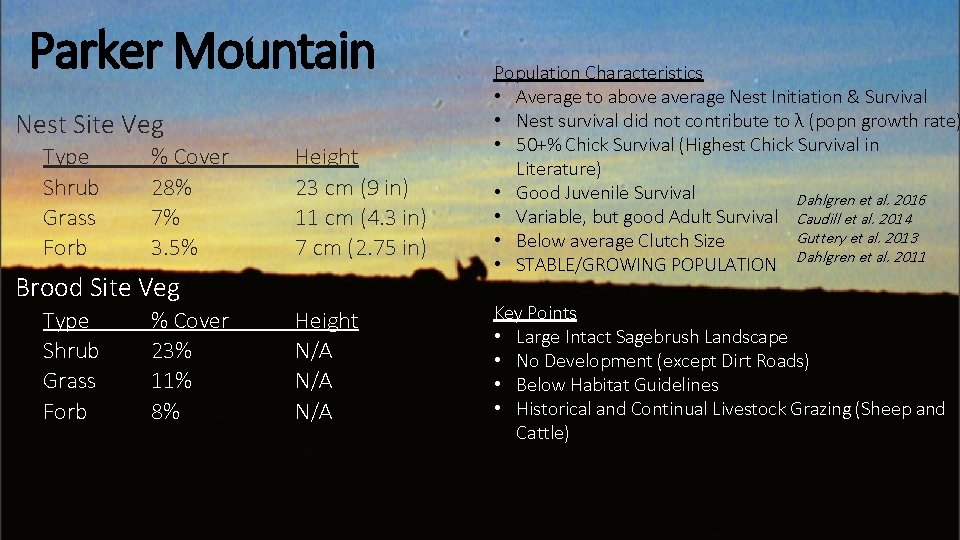 Parker Mountain Nest Site Veg Type Shrub Grass Forb % Cover 28% 7% 3.