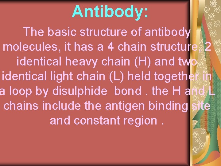 Antibody: The basic structure of antibody molecules, it has a 4 chain structure, 2