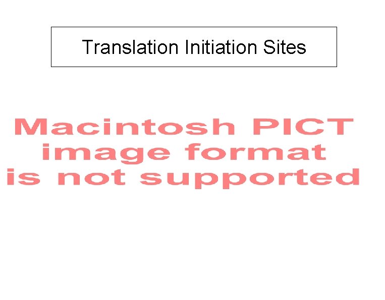Translation Initiation Sites 