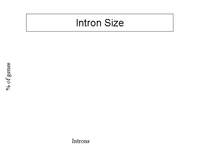 % of genes Intron Size Introns 