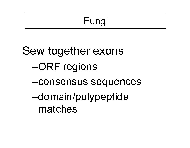 Fungi Sew together exons –ORF regions –consensus sequences –domain/polypeptide matches 