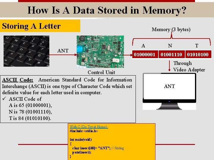 How Is A Data Stored in Memory? Storing A Letter Memory (3 bytes) A