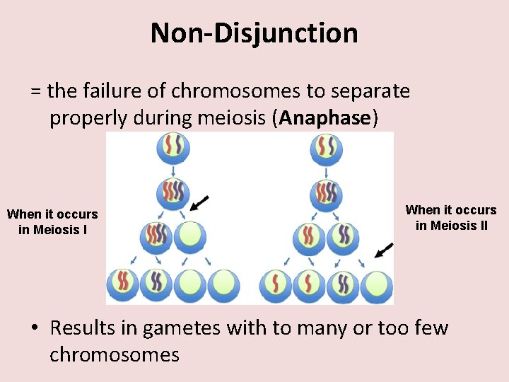 Non-Disjunction = the failure of chromosomes to separate properly during meiosis (Anaphase) When it