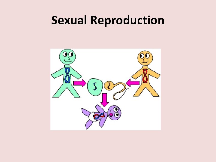 Sexual Reproduction 