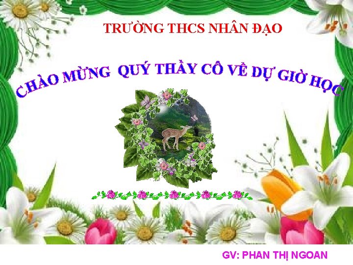 TRƯỜNG THCS NH N ĐẠO GV: PHAN THỊ NGOAN 