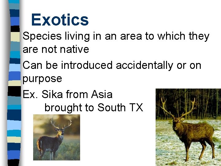 Exotics Species living in an area to which they are not native Can be