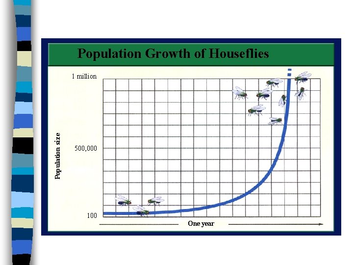 Population Growth of Houseflies Population size 1 million 500, 000 100 One year 