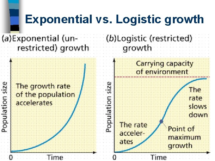 Exponential vs. Logistic growth 