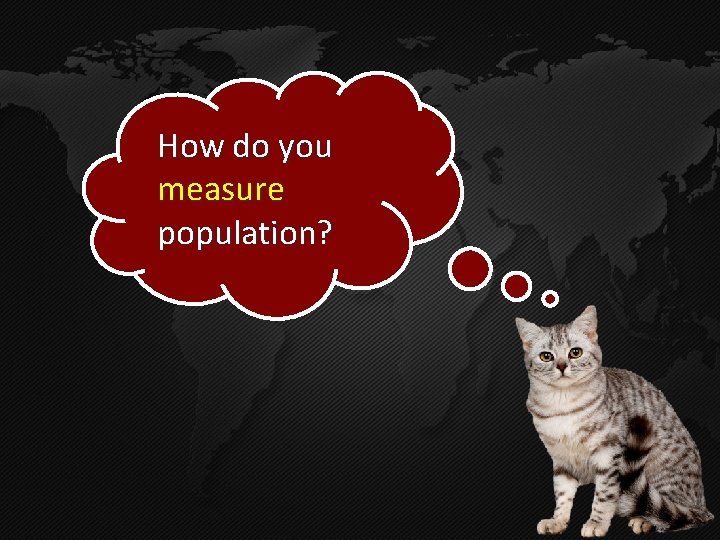 How do you measure population? 