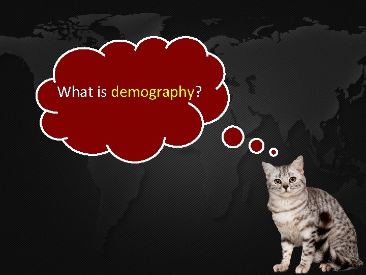 What is demography? 