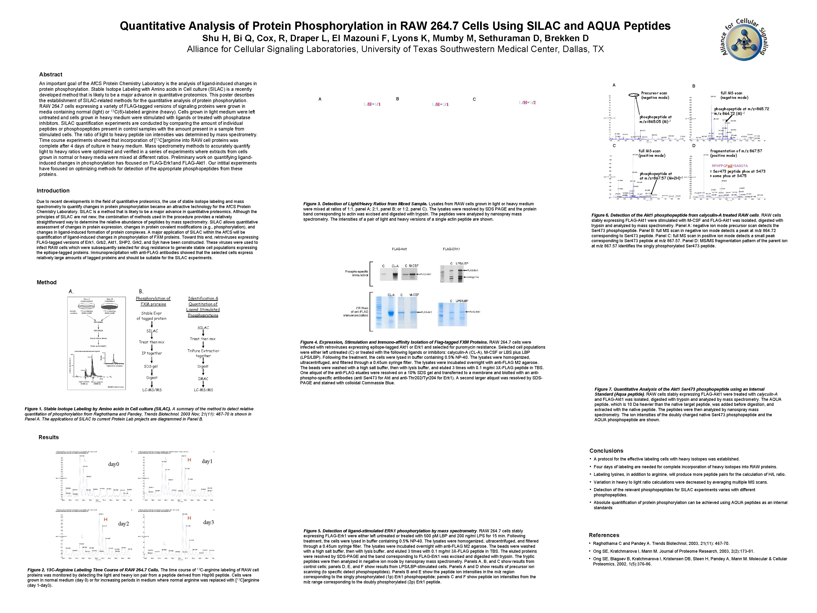 Quantitative Analysis of Protein Phosphorylation in RAW 264