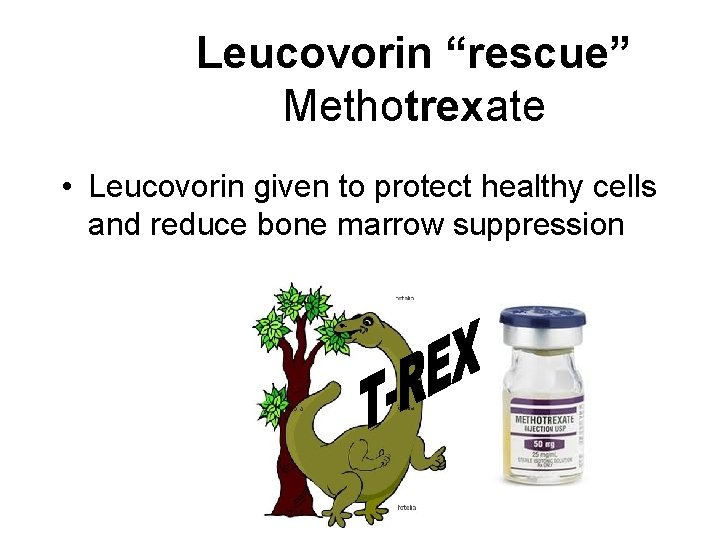 Leucovorin “rescue” Methotrexate • Leucovorin given to protect healthy cells and reduce bone marrow