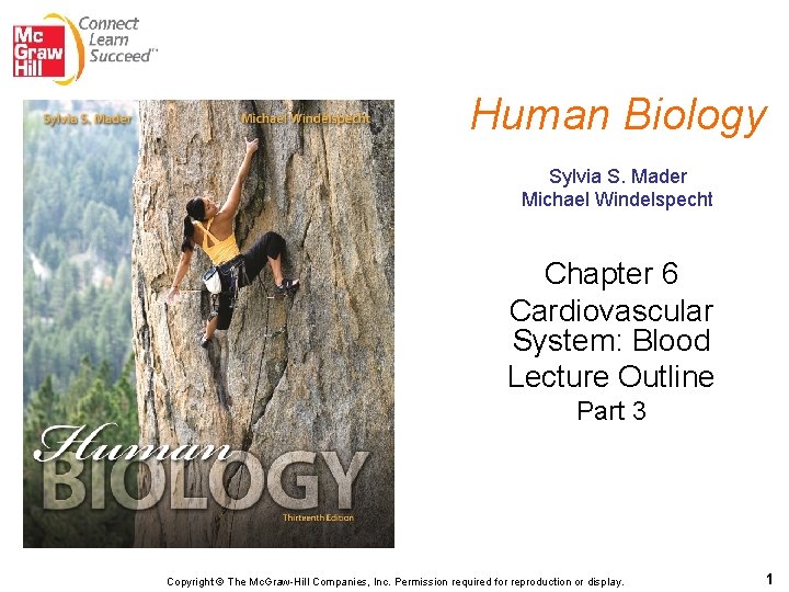 Human Biology Sylvia S. Mader Michael Windelspecht Chapter 6 Cardiovascular System: Blood Lecture Outline