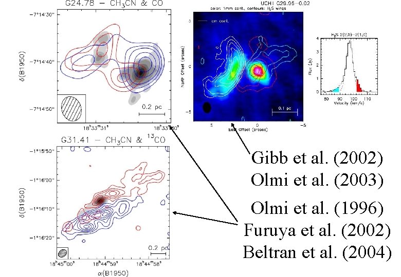 Gibb et al. (2002) Olmi et al. (2003) Olmi et al. (1996) Furuya et