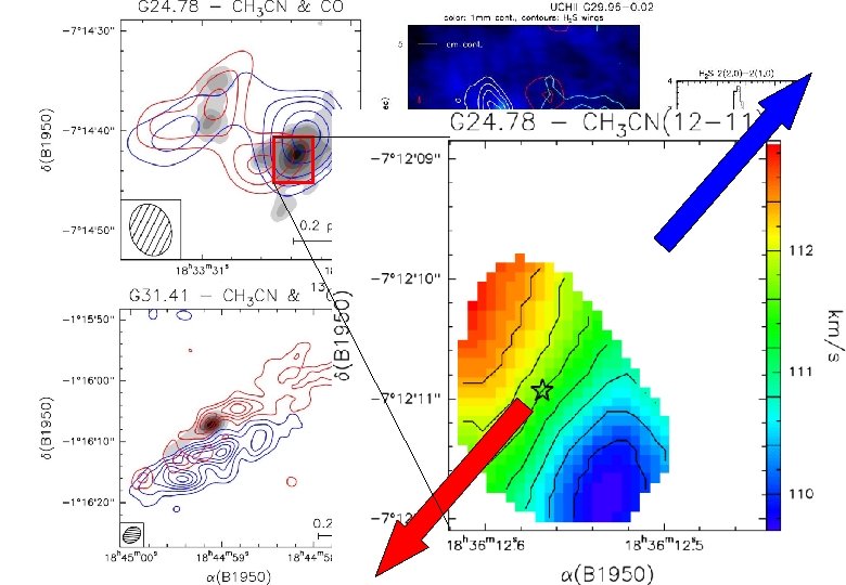 Furuya et al. (2002) Beltran et al. (2004) 