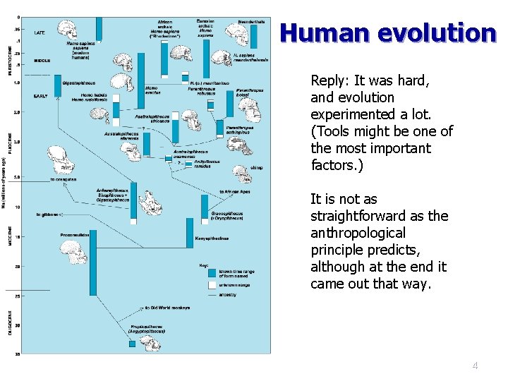 Human evolution Reply: It was hard, and evolution experimented a lot. (Tools might be Human evolution Reply: It was hard, and evolution experimented a lot. (Tools might be